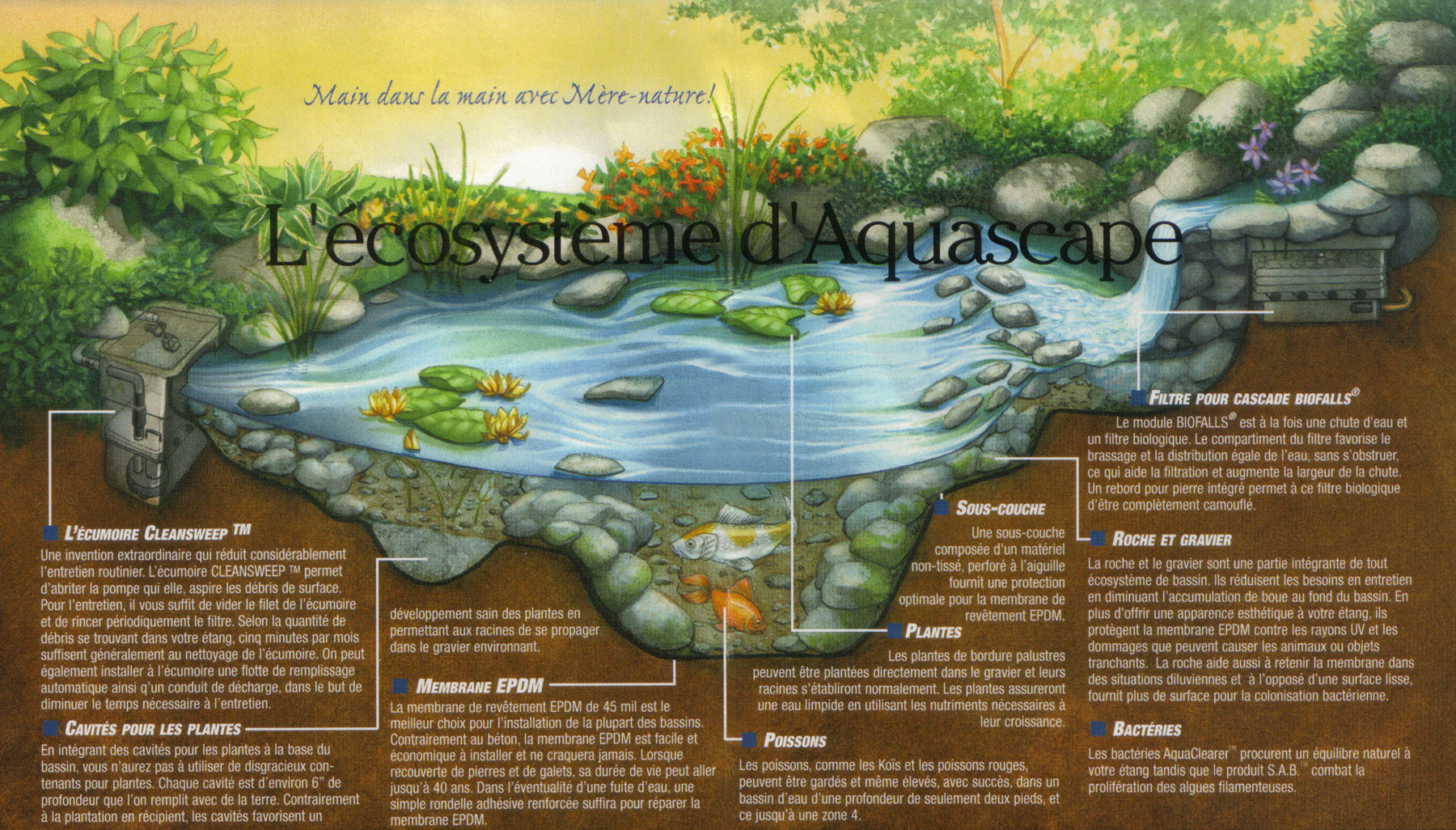 Aquajardin : toute l'information pour un jardin aquatique hors du commun !