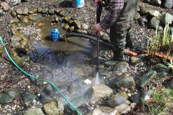 Nettoyage de bassin. Jardin aquatique