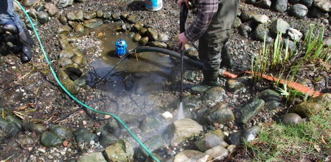 Nettoyage de bassin. Jardin aquatique