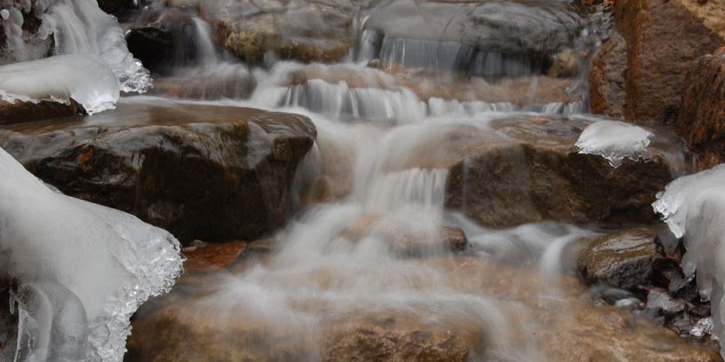 Article JardinsAquadesign Maison du 21e siècle