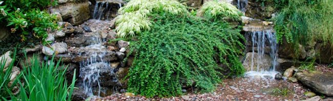 © Jardins Aquadesign