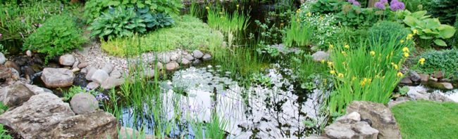 © Jardins Aquadesign