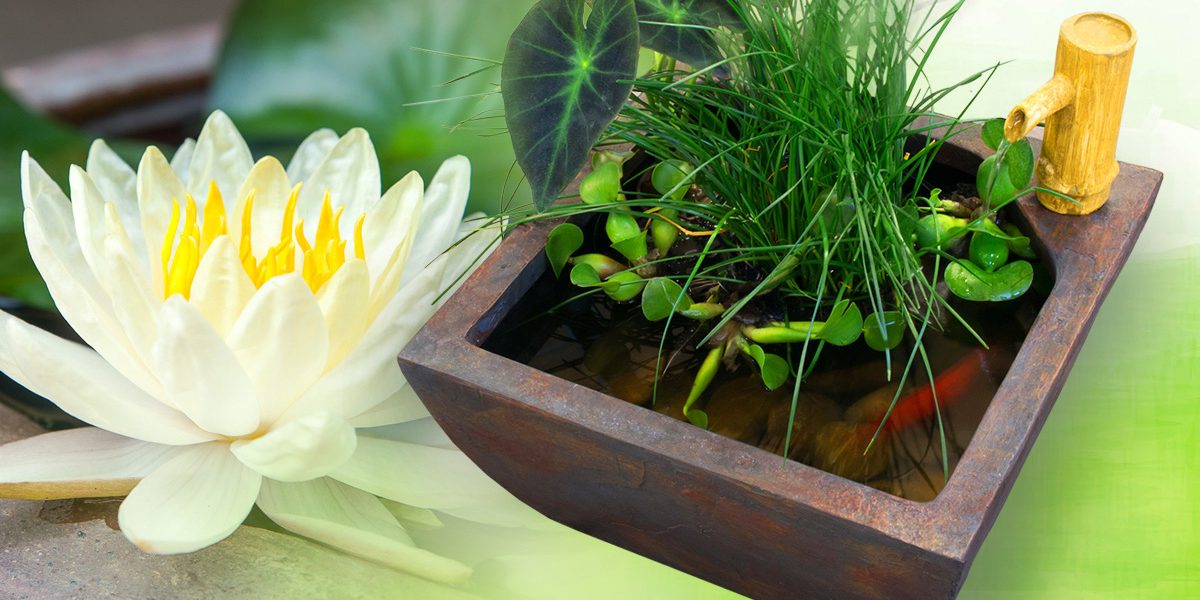 FB-pub05 Jardins Aquadesign Gagez un bassin de patio zen