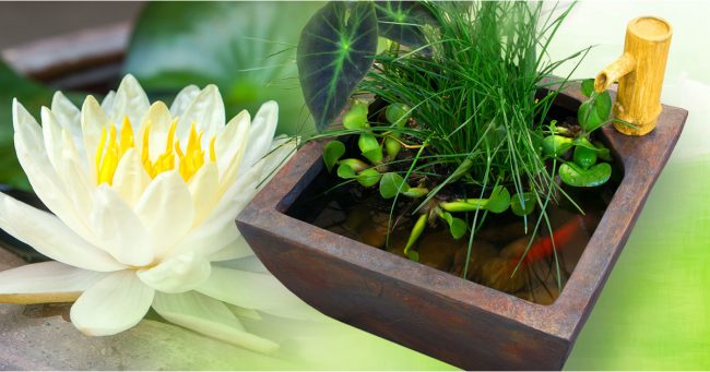 Jardins Aquadesign Gagez un bassin de patio zen