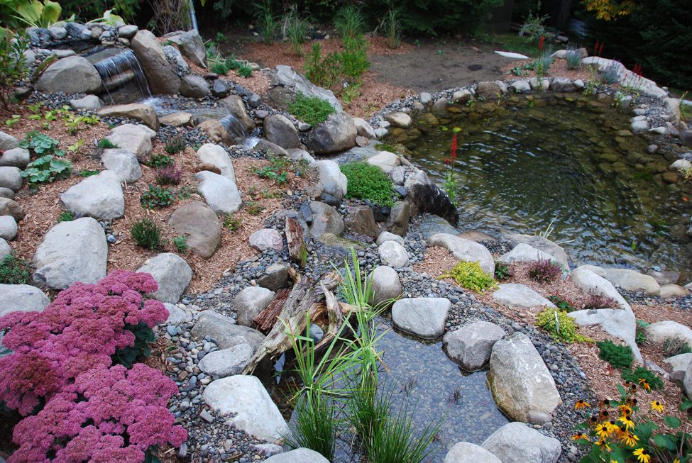 Étang de baignade Jardins Aquadesign