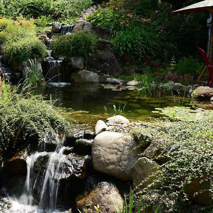 jardinaquadesign-etang-baignade-cascade Étang baignade Jardins Aquadesign