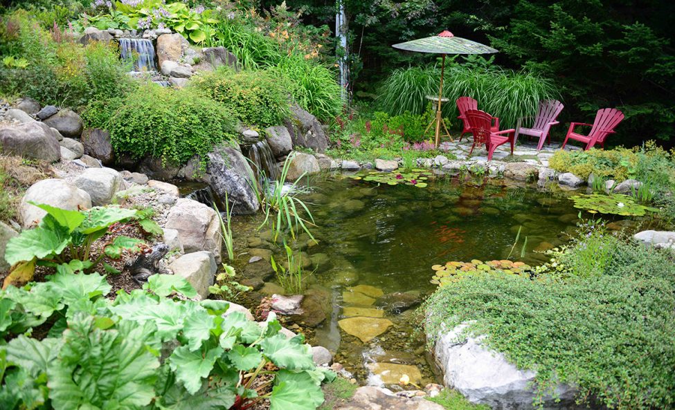 Étang baignade Jardins Aquadesign