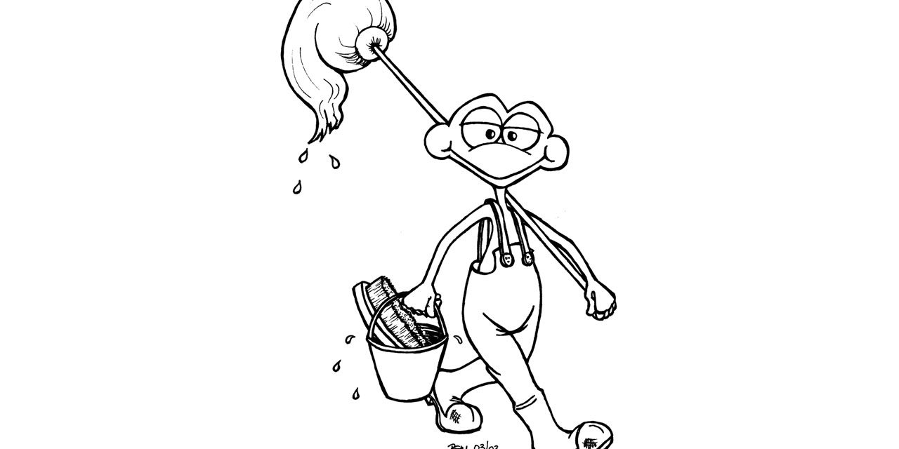 cleaning-frog2