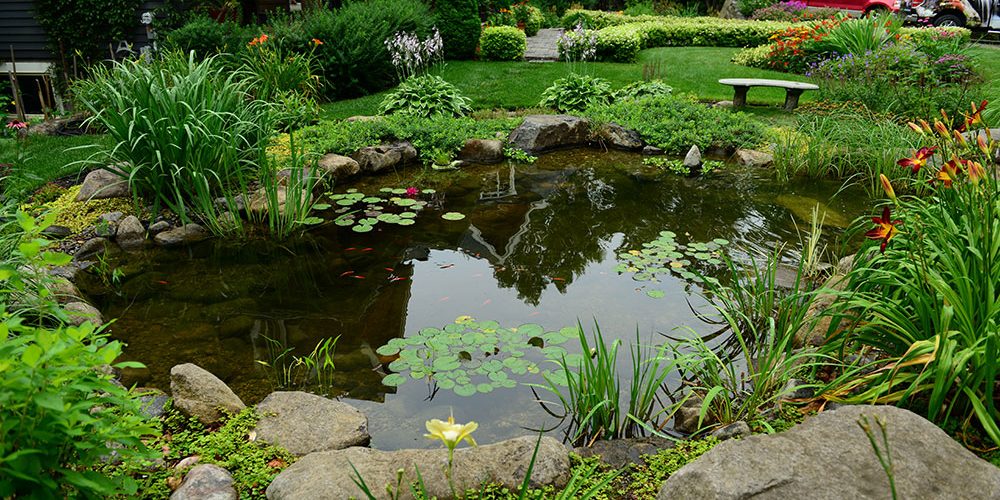 jardinsaquadesign-marcel_3416