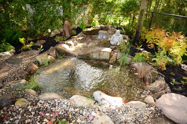 Jardins Aquadesign réaménagement de bassin