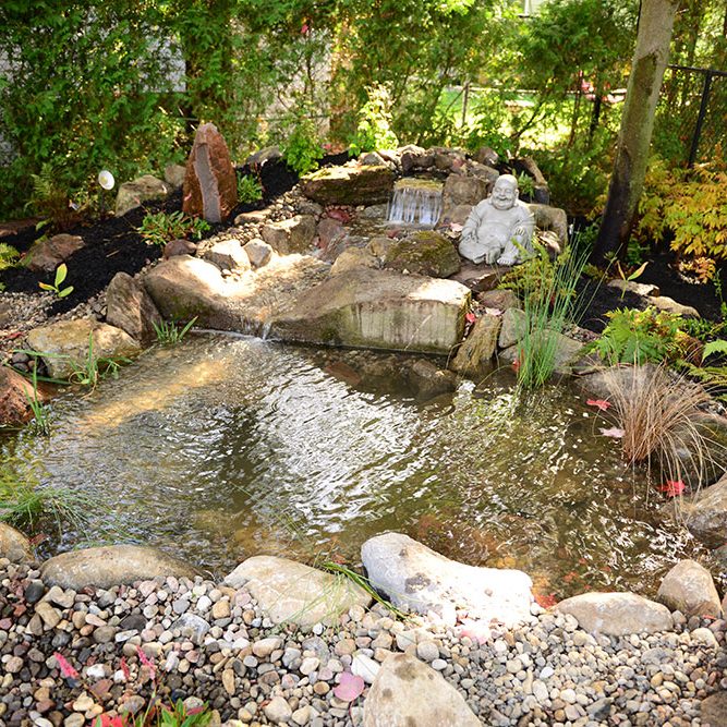 Jardins Aquadesign réaménagement de bassin
