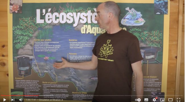 video-ecosysteme-jardinsaquadesign